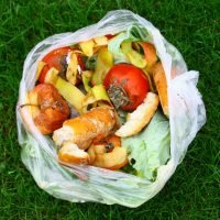 compostable-bag-1